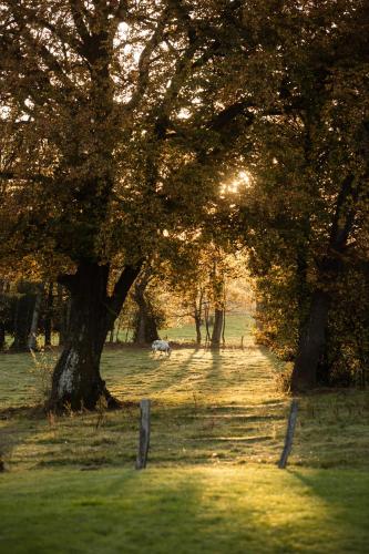 Фотография мини отеля B&B La Gotale