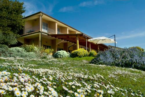 Фотография гостиницы Hotel Palazzo Bello