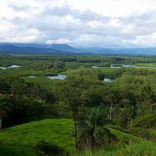 Фотографии гостевого дома
Finca Colibri
