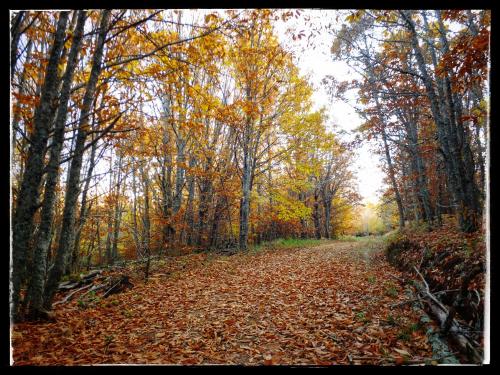 Фотография гостевого дома Casa Quevedo