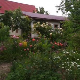 Фотография мини отеля Ореховый рай