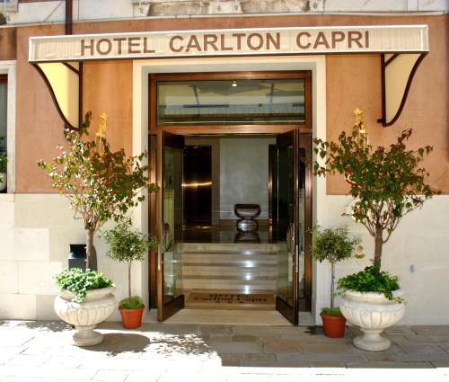 Фотографии гостиницы 
            Hotel Carlton Capri
