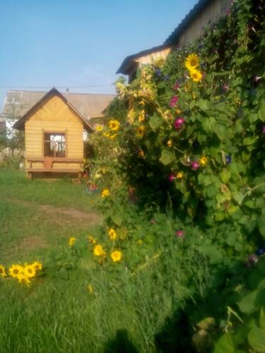 Фотографии мини отеля
Ак-Чишма