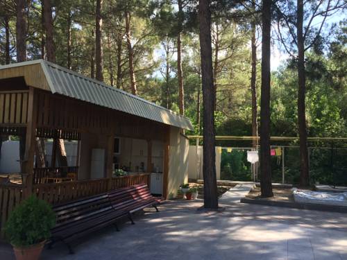 Фотография гостевого дома Сосновый рай