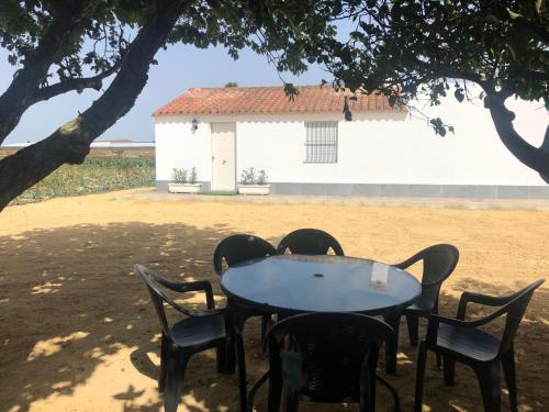 Фотография гостевого дома Conil de la Frontera - Casa La Ilusión