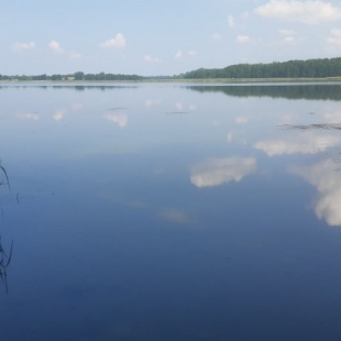 Фотография Коттеджа Дом Агроусадьба Сосны