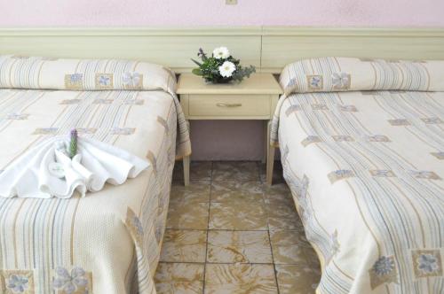 Фотография гостиницы Hotel Viena