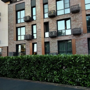 Фотография квартиры Апартаменты на Курортном проспекте