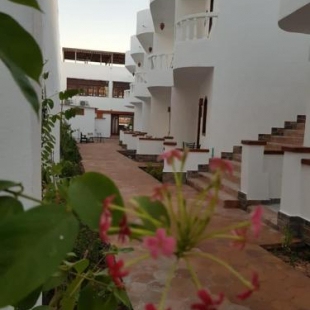 Фотография гостиницы Ghazala Oasis Hotel