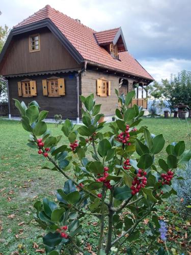 Фотографии гостевого дома 
            Kuća za odmor Poljanica Okićka