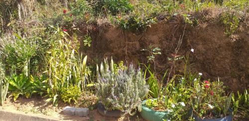 Фотография мини отеля Pousada Alejandro