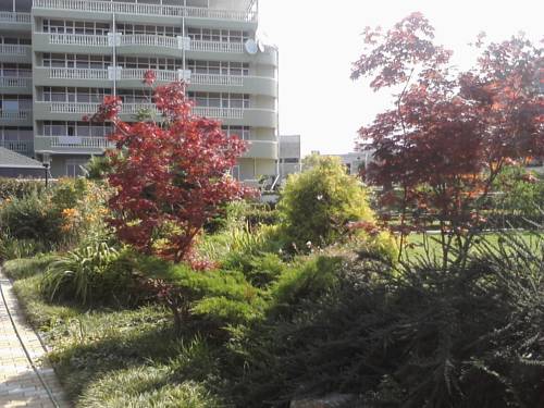 Фотография гостиницы Green House