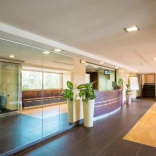 Фотографии гостиницы 
            Hotel Residence Ulivi E Palme