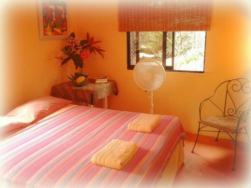 Фотография хостела La Hacienda Hostel