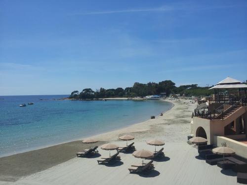 Фотография гостиницы Palm Beach