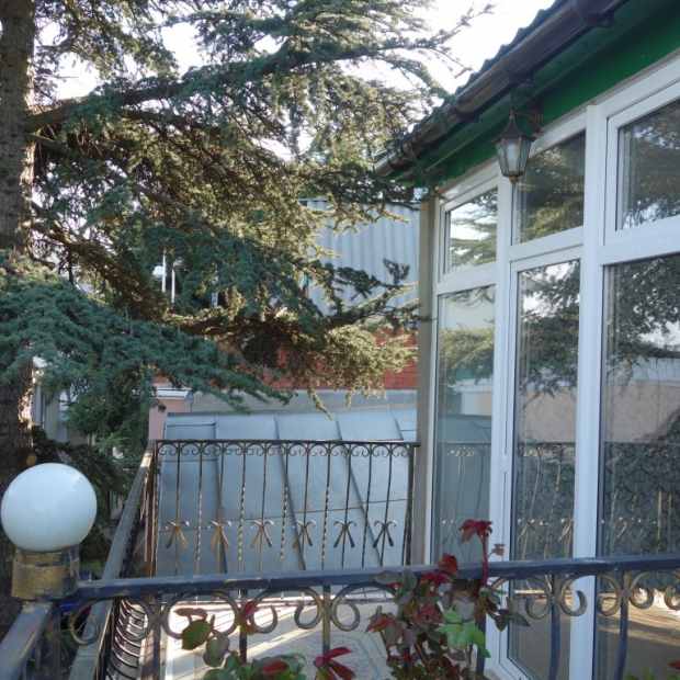 Фотографии мини отеля
Ливадия