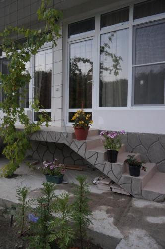 Фотография гостевого дома На Оливковой, 23