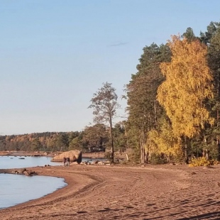 Фотография Коттеджа Олта