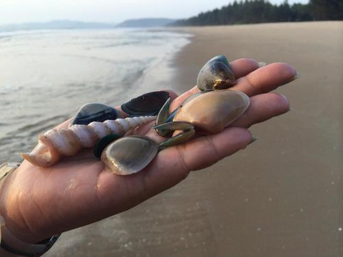 Фотография гостиницы OmBodhi Retreat