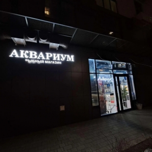 Фотография квартиры Апартаменты на улице Набережной Приволжского Затона 24