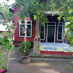 Фотографии мини отеля 
            Tommy Bungalow