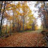 Фотография гостевого дома Casa Quevedo