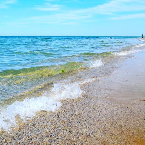 Фотографии гостиницы Грин Парк