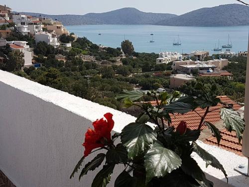 Фотографии гостевого дома
Veranta