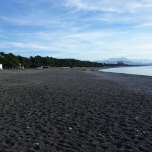 Фотография гостиницы Gold Star