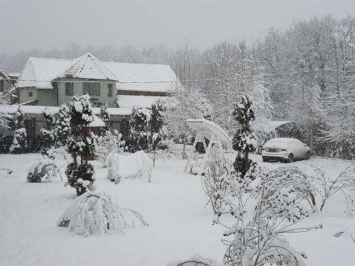 Фотография гостевого дома Pensiunea Poiana Avrigului