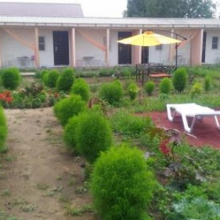 Фотография гостевого дома GREEN PARK