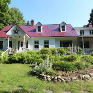 Фотографии мини отеля
Buttonwood Inn on Mount Surprise