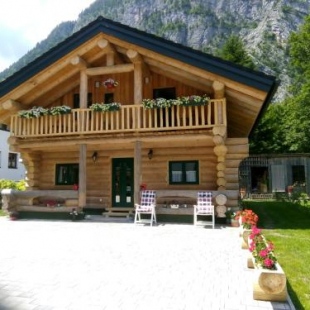 Фотография гостевого дома C.T.N. Loghouse