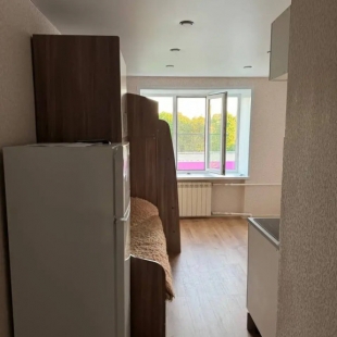 Фотография квартиры Квартира Студия на Ленинского Комсомола