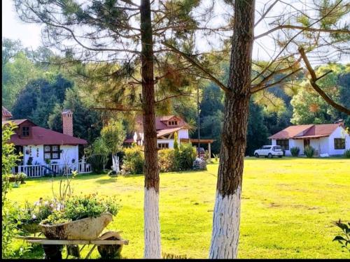 Фотография гостевого дома Cabañas los cactus 2