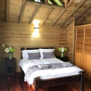 Фотография гостевого дома Cabañas Filadelfia