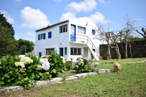 Фотография базы отдыха Quinta dos Sabores Farm Houses