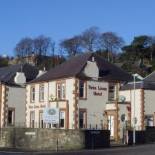 Фотография гостиницы Twin Lions Hotel