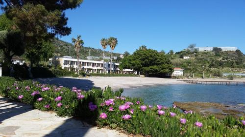 Фотография гостиницы Marvel Tree Hotel