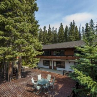 Фотография мотеля The Dorothy Motel