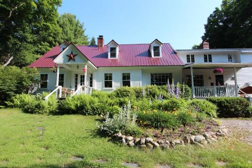 Фотография мини отеля Buttonwood Inn on Mount Surprise