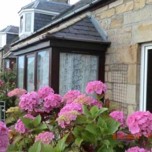 Фотографии мини отеля 
            The Milton