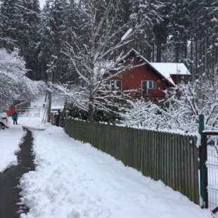 Фотография гостевого дома Vila Roberta