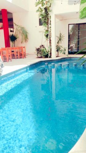 Фотография гостиницы "50 MTS 5TA AVENIDA" Maya Turquesa "by BFH"