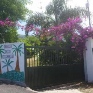 Фотографии гостевого дома
Finca las Palmeras