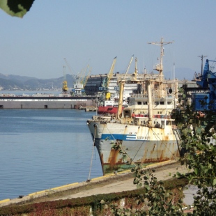 Фотография предприятий Находкинская база активного морского рыболовства