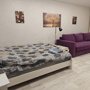 Фотография квартиры Апартаменты Проспект Ленина 28г