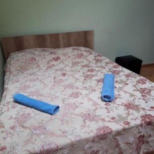 Фотография гостевого дома ninos jvari