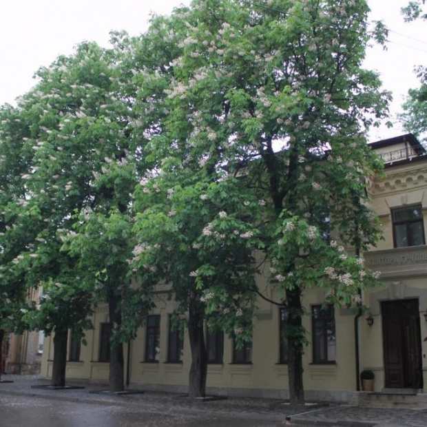 Фотографии гостиницы
Княжна Мери