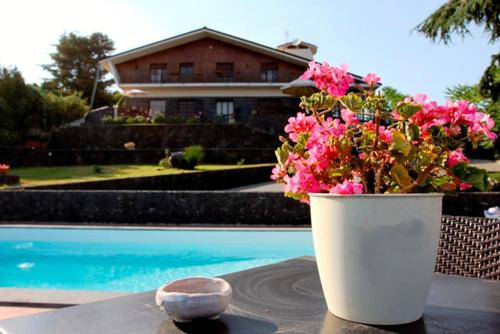 Фотографии мини отеля 
            Etna Hut